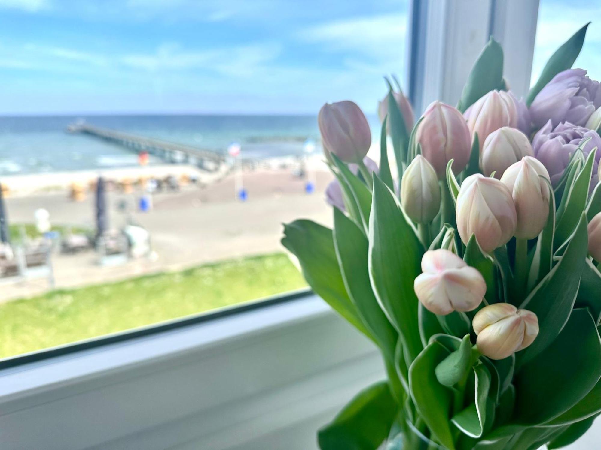 Traum Ostseemeerblick *